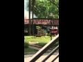 Fire at coffeeshop in Jurong West Street 81