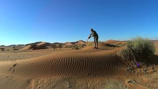 Sand klauen im Sossusvlei