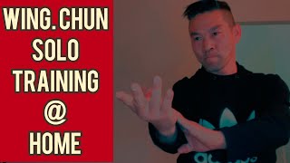 Wing chun punch , palm , kick practice at home / inch￼￼ power training drills