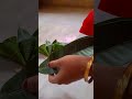 Mango leaf 🌿 decoration  #mango leaf decoration for puja#youtubeshorts