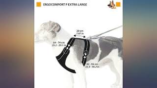 Ferplast Ergocomfort Dog Harness (XL) (Red//Black) review