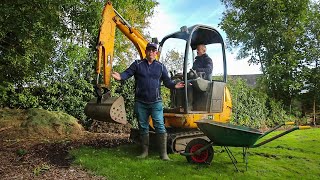 Ground planting maples for bonsai - phase 2