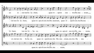 Palestrina: Duo ubera tua - Sixteen