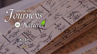 Lijiang Series Ep. 8: Dongba symbols – hieroglyphs related to nature