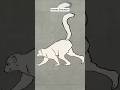 How Humans Evolved In 550 Million Years #shorts #viral