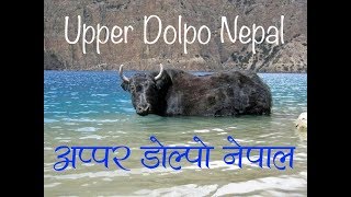 Upper Dolpo । माथिल्लो डोल्पा ।।