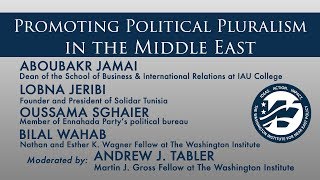 Promoting Political Pluralism in the Middle East