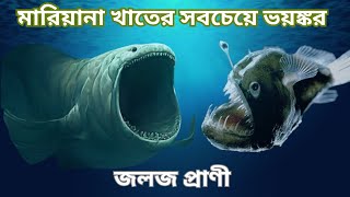 মারিয়ানা ট্রেঞ্চ: পৃথিবীর গভীরতম স্থান | Mariana Trench: The Deepest Place Of Ocean