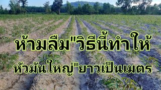 แนะนำวิธี\