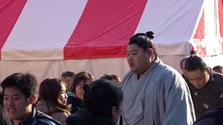 【大相撲初場所2020】8日目  阿炎 入り待ち・出待ち 両国国技館 Grand Sumo Tournament 2020/01/19【HD】