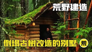 Man transformed a fallen thousand-year-old tree into a magnificent wooden house