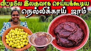 நெல்லிக்காய் ஜாமும் பாணும் இரவு சாப்பாடு | Our Village life 👌| vanni vlog