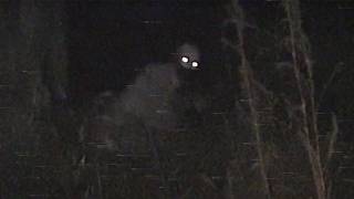 12 SCARY GHOST VIDEOS You’ll Regret Watching Alone