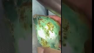 冰飘花牌子 #翡翠原石 #缅甸翡翠 #翡翠 #玉 #珠寶 #jade