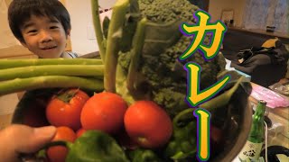 ただのカレー作って食う動画