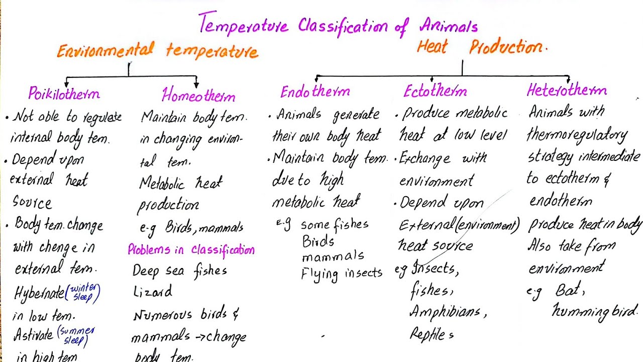 Temperature Classification Of Animals Endotherm And Ectotherm Class