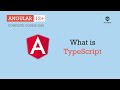 What is TypeScript | Angular Basics | Angular 12+
