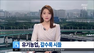 [대전MBC뉴스]충청권-갈수록 주는 유기농업