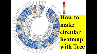 How to make circular heatmap / how to make newick tree / heat map with phylogenetic tree / TBTool