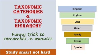 Taxonomic Categories | Taxonomic hierarchy