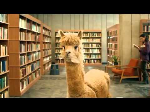 Alpaca by McVitie's Alpaca by McVitie's