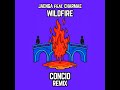 Jaenga - WILDFIRE (concio remix) [Dancefloor DnB]