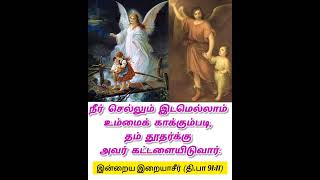 தி.பா 91:11