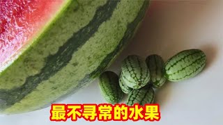 5种最不寻常的水果，你吃过拇指大小的西瓜吗？