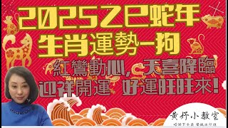 【2025年生肖運勢-狗】：迎祥開運？在危機與轉機並存的年份，是劫數與生機，紅鸞動心，天喜降臨，迎福慶豐年，迎接好運旺旺來！