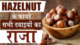 Benefits of Hazelnut in Hindi | Hazelnut के फायदे | Kidney Treatment Naturally without Dialysis |