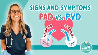 PAD vs. PVD | Peripheral Arterial Disease vs Peripheral Venous Disease  | Signs & Symptoms