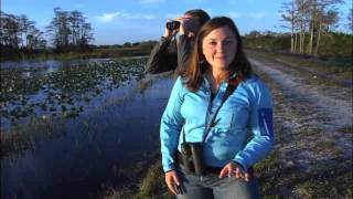 Inside Birding: Habitat