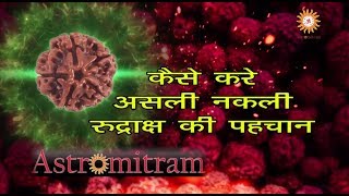 Astromitram :कैसे करे असली नकली रुद्राक्ष की पहचान / Kaise Kare Asli Nakli Rudraksh Ki Pehchan