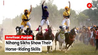Amritsar: Nihang Sikhs Show Their Horse-Riding Skills During 'Bandi Chhor Divas' Celebrations
