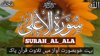 Heart Touching Recitation Of Surah Al-A’la | Surah A'la ki Khubsorat Awaz me Telawat
