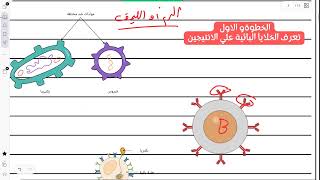 خط الدفاع التالت في المناعة