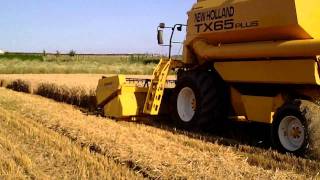 New Holland TX 65 Plus (Sound!!!)