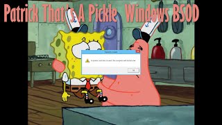 Patrick That's a Pickle Windows Error