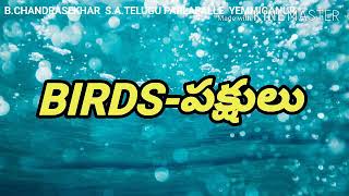 BIRDS-పక్షులు  ధ్వనులతో ENGLISH మరియు తెలుగు లో  1,2 తరగతులకు