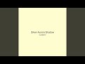 Silver Aurora Shadow