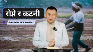 Planting And Harvesting || रोप्ने र कटनी || Pastor Tek Dahal || GAC