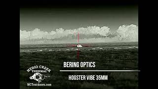 Is the Bering Optics Hogster Vibe 35mm the right scope for you?