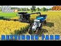 FS 19 | Bettingen Farm | Timelapse #33 | Harvesting canola and soybean, sheep feeding