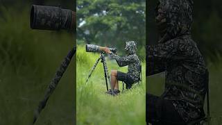 cara burung menjaga kebersihan sarangnya #wildlifephotography #wildlifephotographer #wildlife