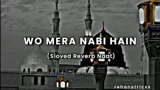 Wo Mera Nabi Hai ॥ New Urdu naat 2024 ॥ ও মেরা নাবী হে ॥ উর্দু অসাধারণ নাথ ২০২৪ ॥ Best Females Naat