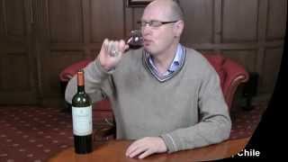 Carmen, Grand Reserva Carmenere 2011, Chile, wine review