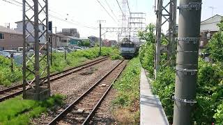 6月8日小田栄駅 新鶴見A30運用 8460レ EF65-2095 貨物色 青プレート