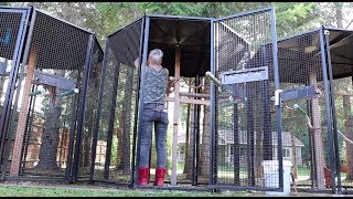 Parrot Aviaries | An Update