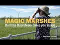 Macquarie Marshes: Walking Burrima Boardwalk