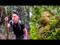 Relentless Dad Searches High and Low for Monkey Kaka in Dense Woods